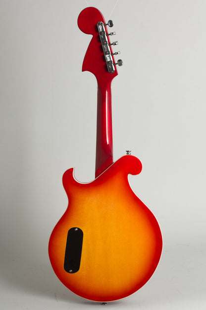 Bellflower 5 String Hollow Body Electric Mandolin (2025)