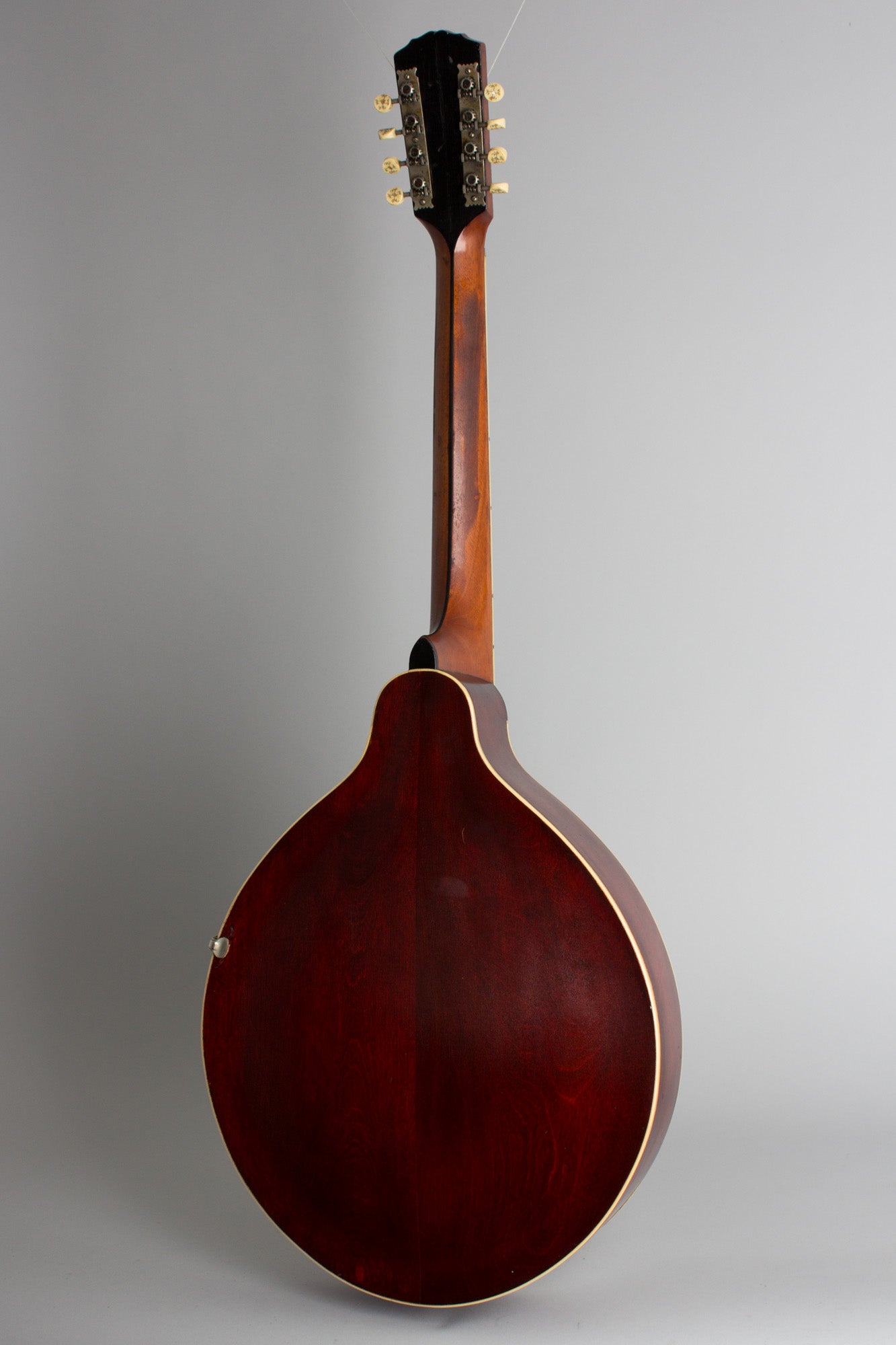 Gibson K-2 Carved Top Mandocello (1912)