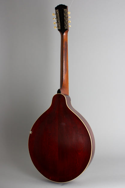 Gibson K-2 Carved Top Mandocello (1912)