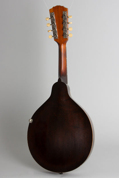Gibson Style A Carved Top Mandolin (1918)