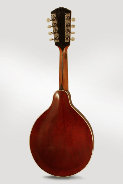 Gibson Style A-4 Carved Top Mandolin (1910)