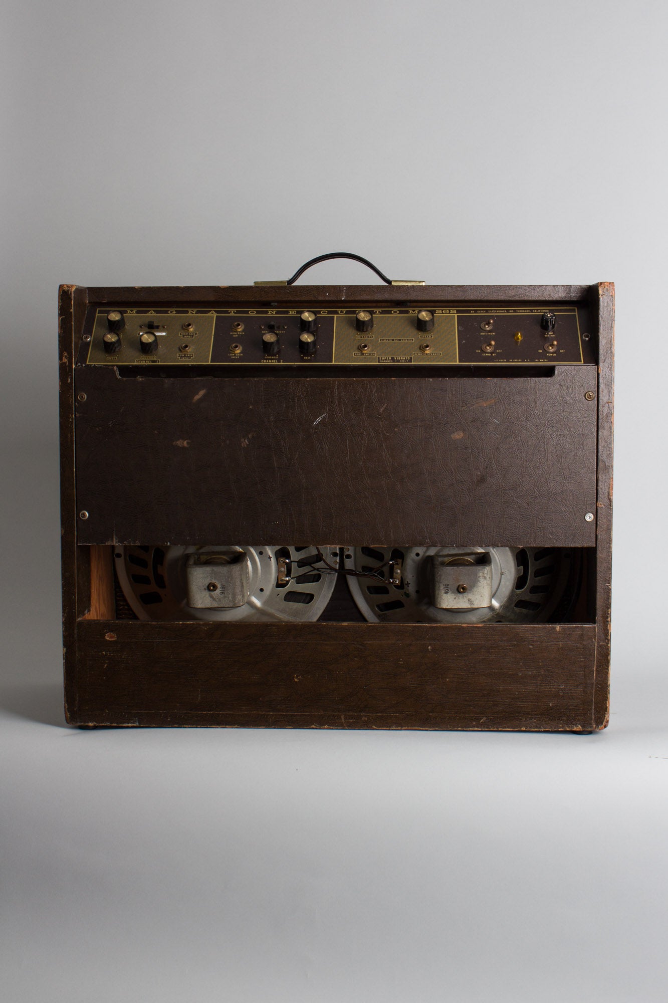 Magnatone Custom 262 Tube Amplifier (1962)