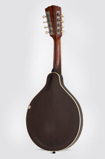 Gibson A-2 Carved Top Mandolin (1921)