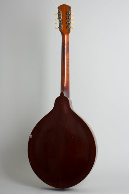 Gibson K-1 Carved Top Mandocello (1918)
