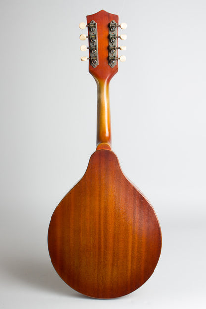 Stradolin Arch Top Mandolin (1950)