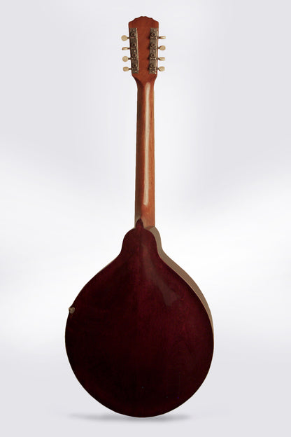 Gibson K-1 Mandocello (1916)