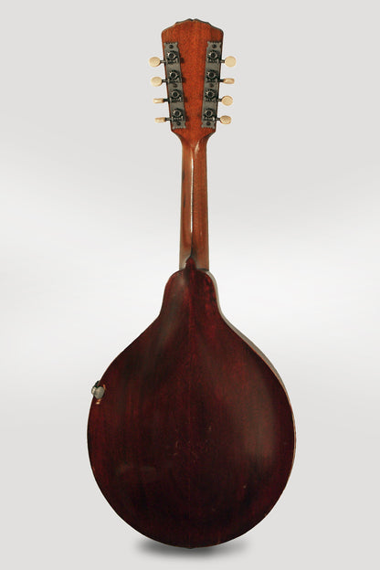 Gibson Style A- Carved Top Mandolin (1912)