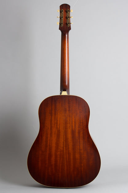 Iris DF Flat Top Acoustic Guitar