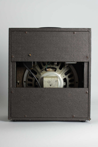 Kalamazoo Model Two Tube Amplifier (1966)
