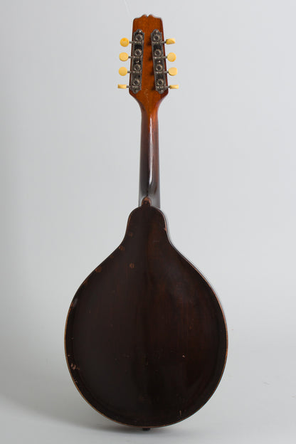 Gibson Style A Snakehead Carved Top Mandolin (1925)