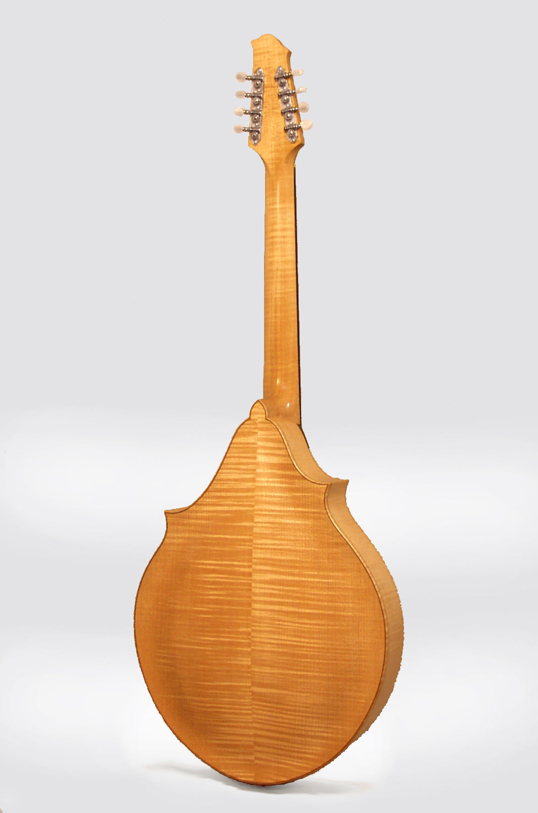Polestar Cosmotone Mandocello