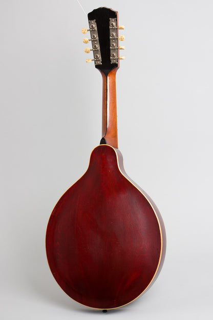 Gibson H-2 Carved Top Mandola (1912)