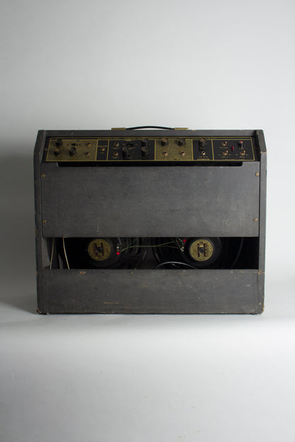 Magnatone Da Vinci D-60 Custom previously owned by Steely Dan's Walter Becker Tube Amplifier (1965)