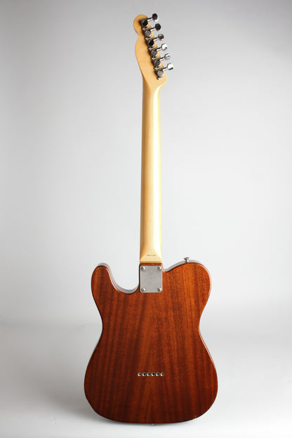 Fender Telecaster Thinline 1969 Re-Issue Solid Body Electric Guitar (1985)