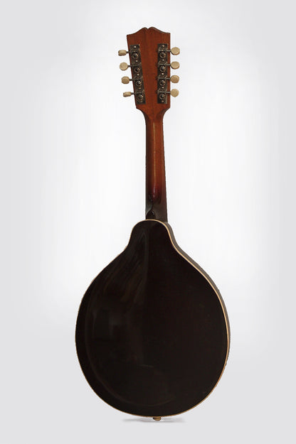 Gibson A-4 Carved Top Mandolin (1934)