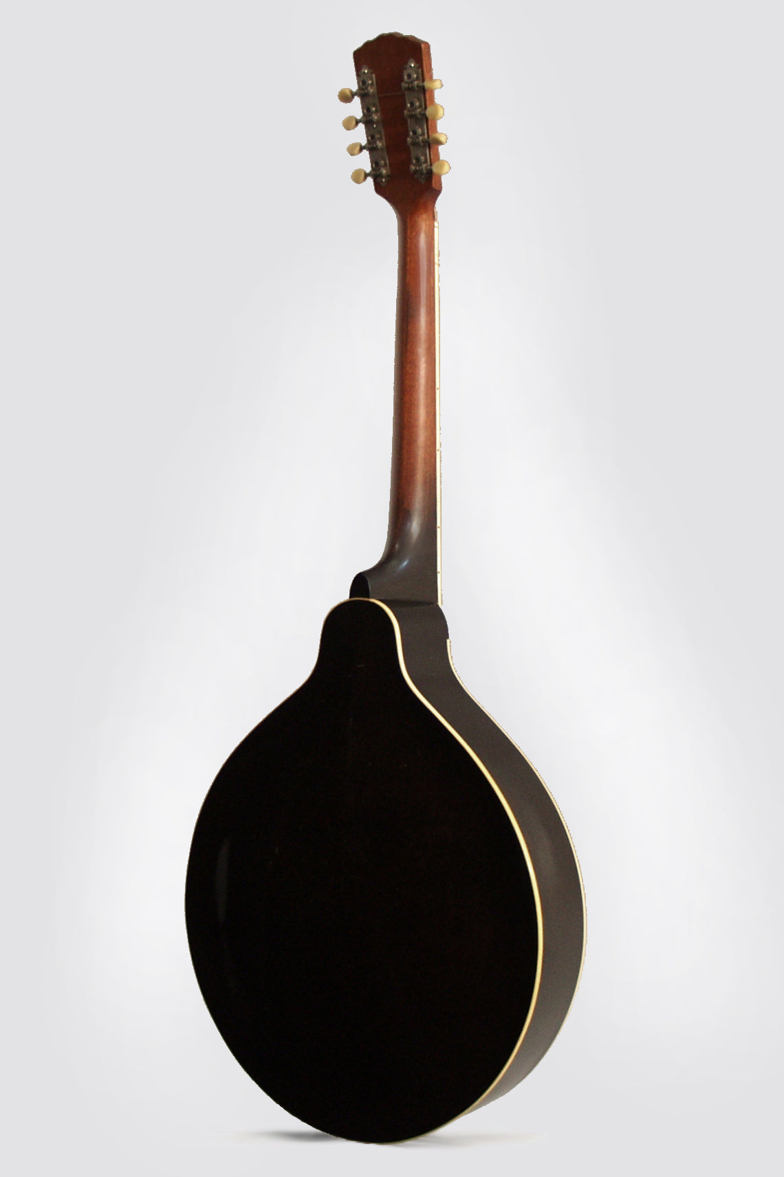 Gibson K-1 Mandocello (1924)