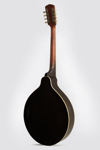 Gibson K-1 Mandocello (1924)