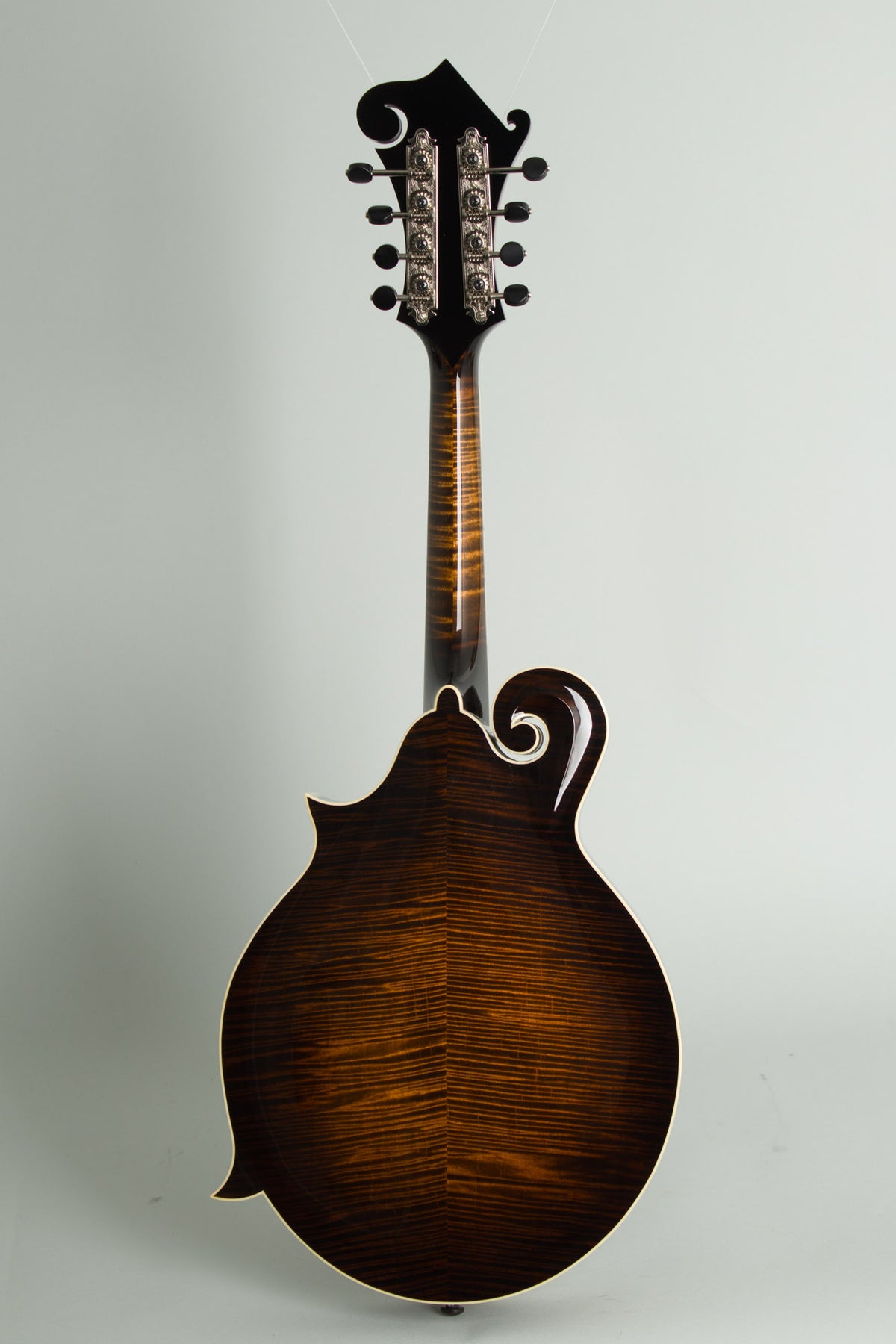 Northfield NFB-5FA Big Mon Carved Top Mandolin (2026)