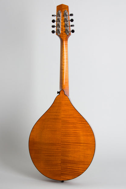 Northfield NFM-M4 Carved Top Mandola (2023)