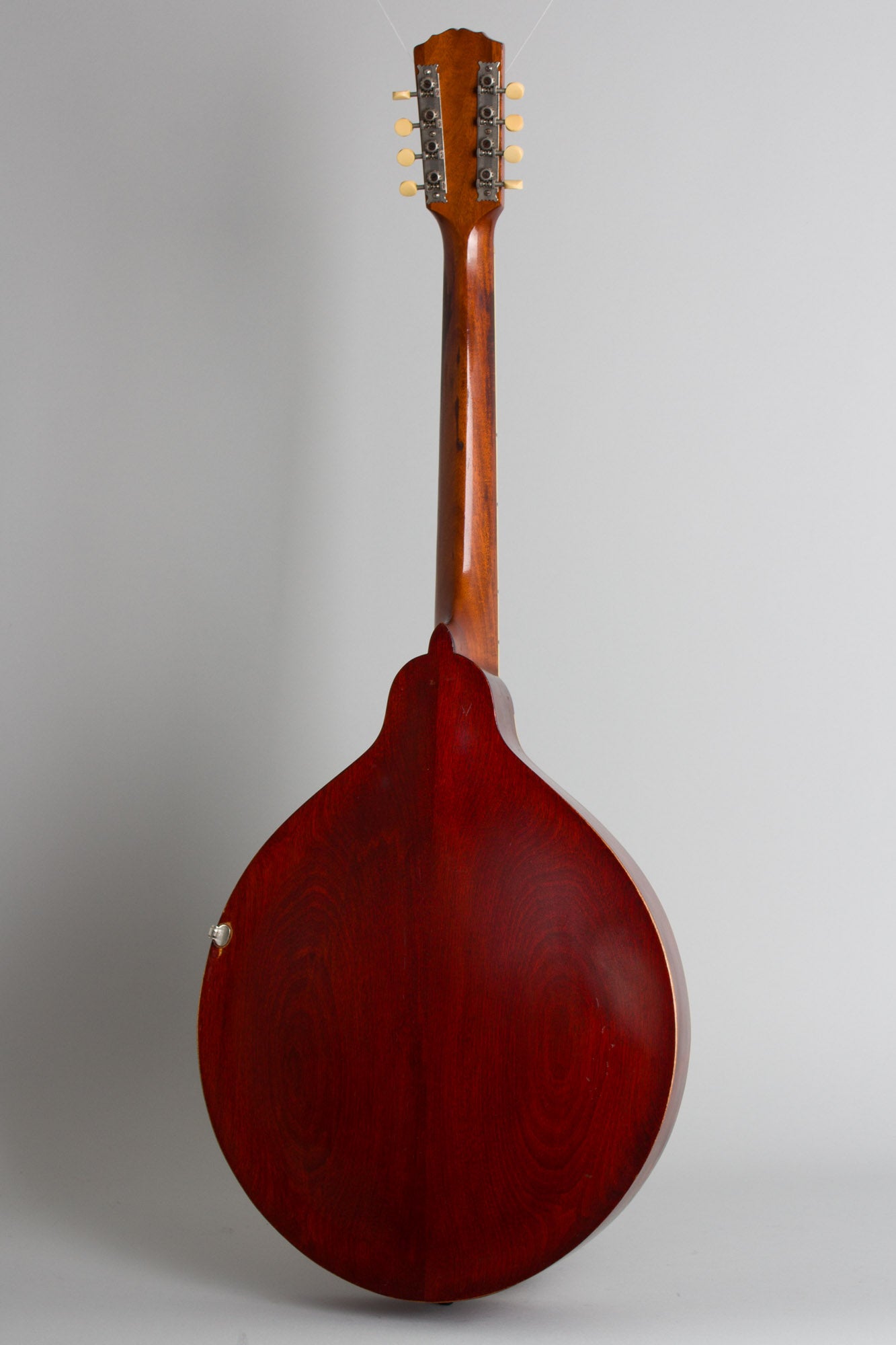 Gibson K-1 Carved Top Mandocello (1915)