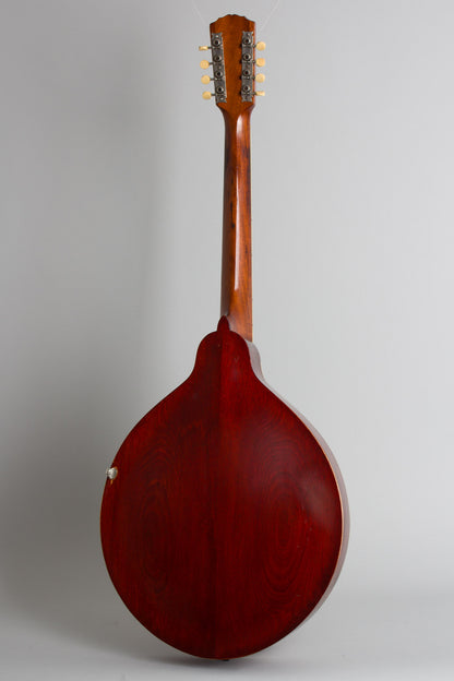 Gibson K-1 Carved Top Mandocello (1915)