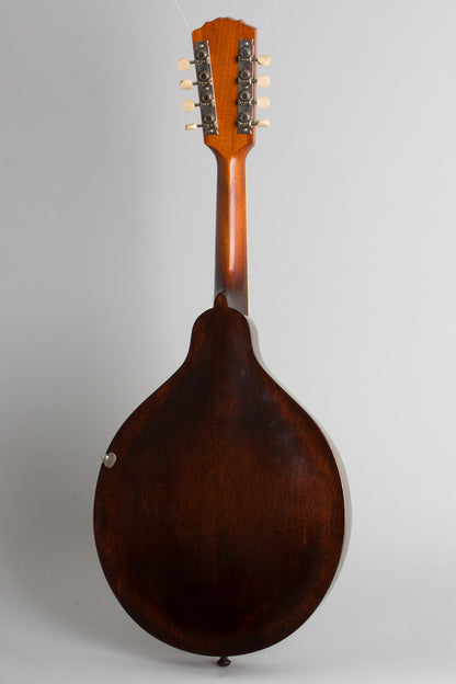 Gibson Style H-1 Carved Top Mandola (1918)