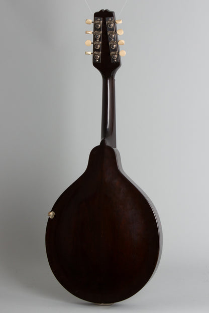 Gibson A-Junior Snakehead Carved Top Mandolin (1925)