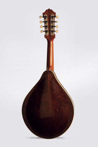 Lyon & Healy Style C Carved Top Mandolin (1922)