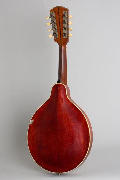 Gibson A-3 Carved Top Mandolin (1914)