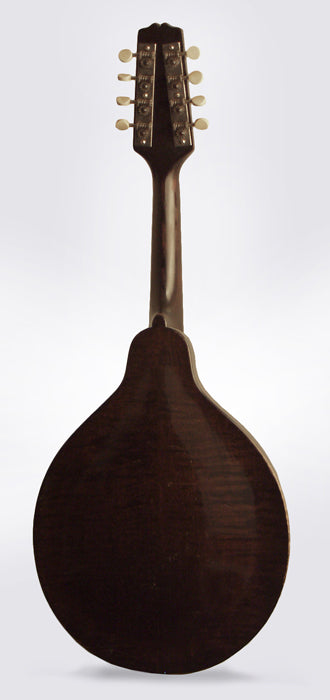 Gibson A-Junior ""Snakehead"" Carved Top Mandolin (1925)