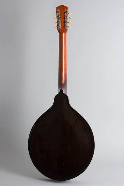 Gibson K-1 Carved Top Mandocello (1921)