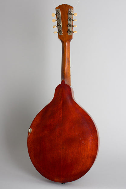 Gibson Style H-1 Carved Top Mandola (1913)
