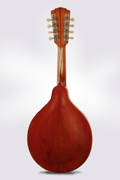 Gibson Style A-1 Carved Top Mandolin (1918)