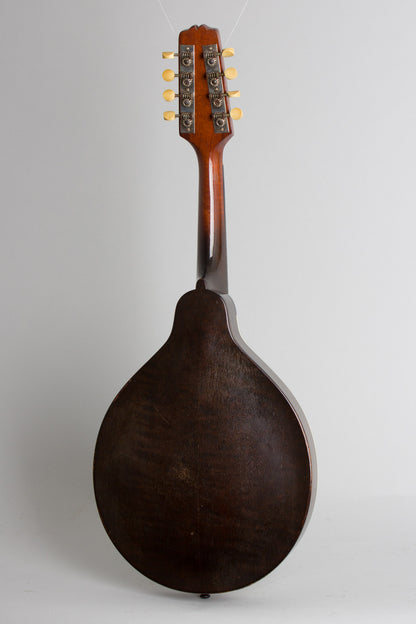 Gibson Style A Snakehead Carved Top Mandolin (1927)