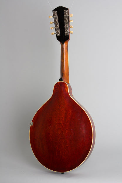 Gibson H-2 Carved Top Mandola (1914)