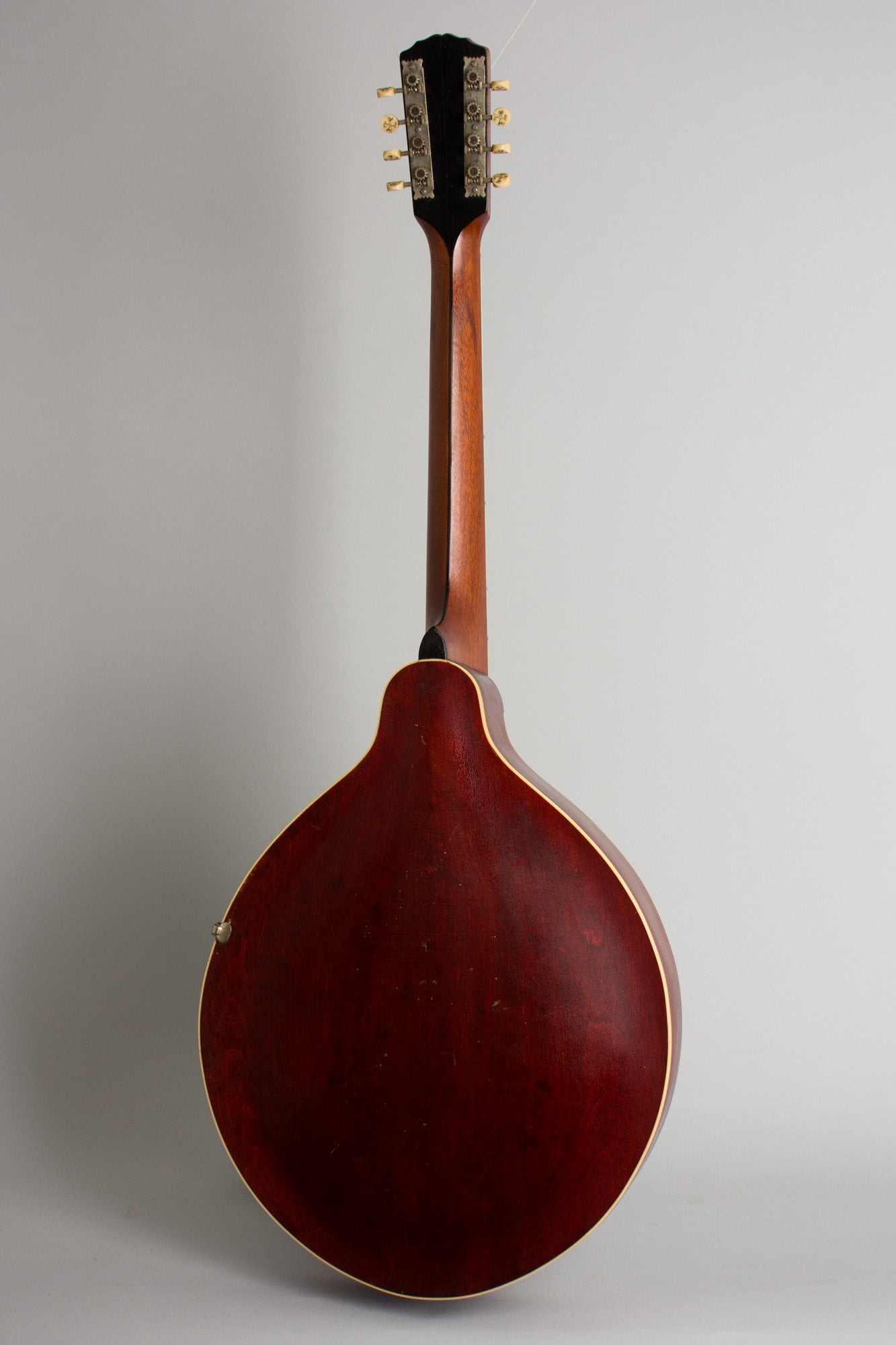 Gibson K-2 Carved Top Mandocello (1913)