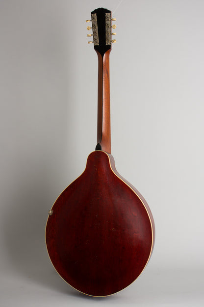 Gibson K-2 Carved Top Mandocello (1913)