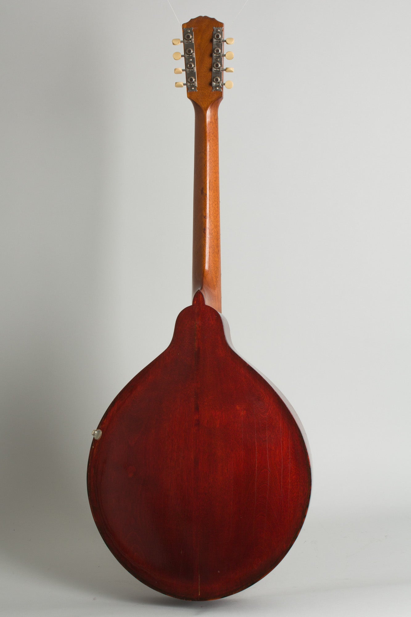 Gibson K-1 Carved Top Mandocello (1914)