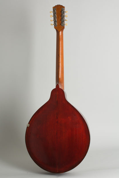 Gibson K-1 Carved Top Mandocello (1914)