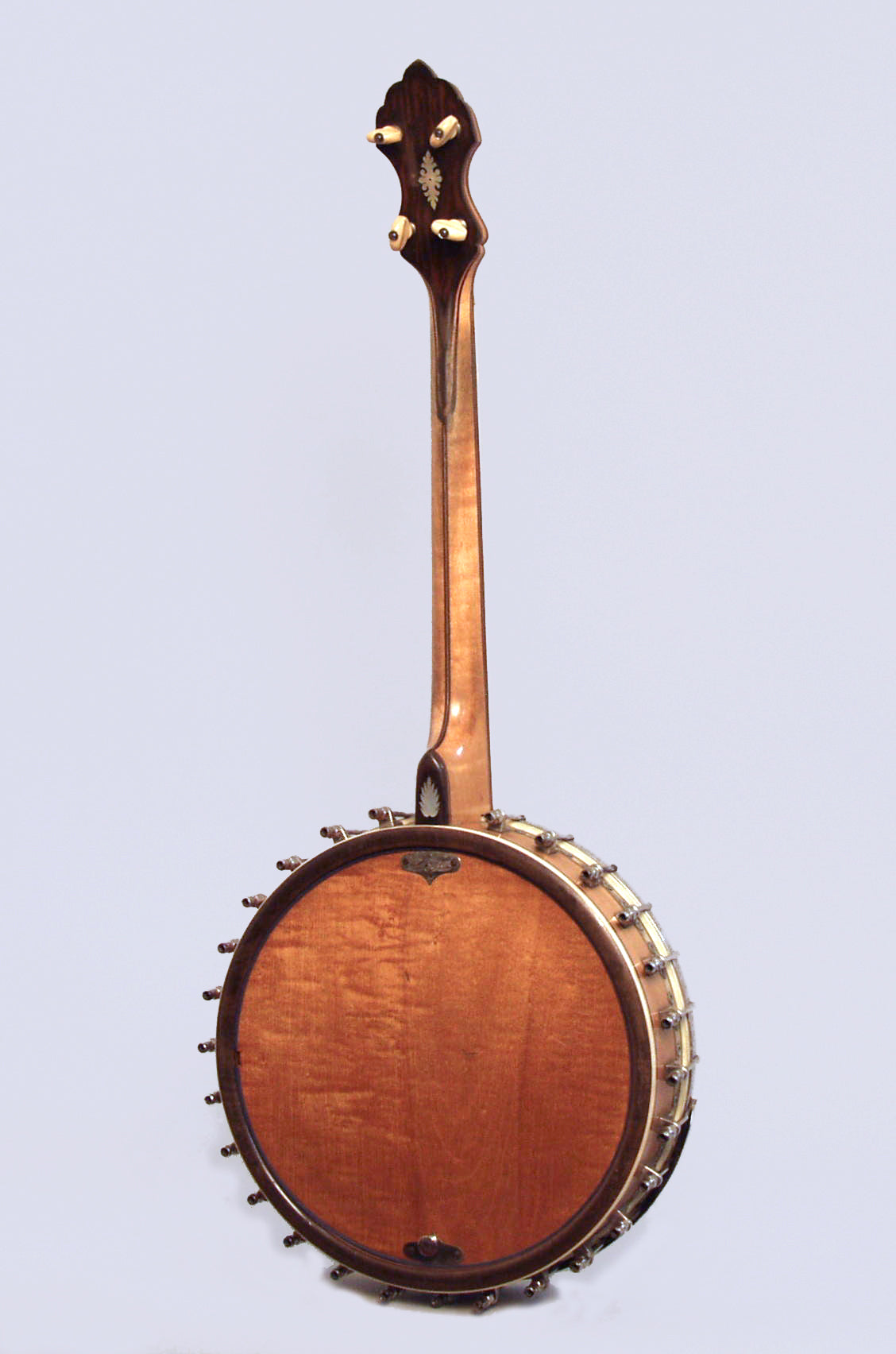 Bacon Blue Ribbon Style A Tenor Banjo (1922)
