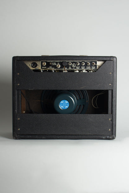 Fender Princeton Reverb Tube Amplifier (1966)