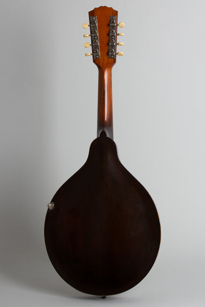 Gibson Style H-1 Carved Top Mandola (1920)
