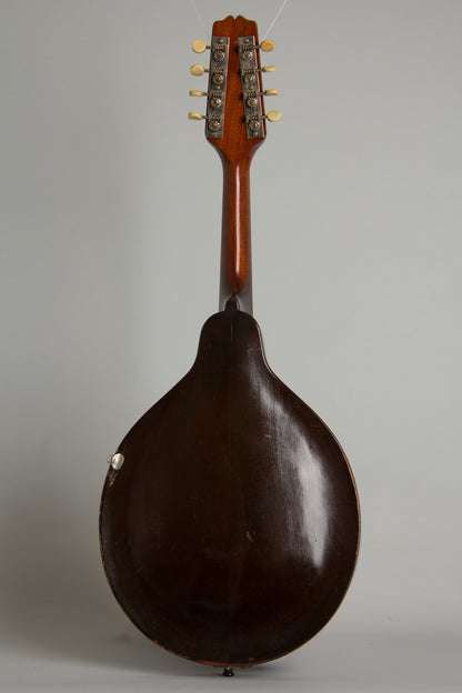 Gibson Style A Snakehead Carved Top Mandolin (1925)