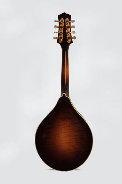 Collings MT2 Carved Top Mandolin (2002)