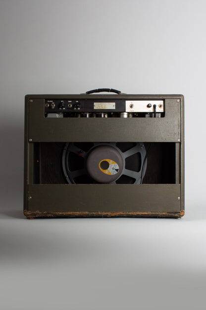 Standel Custom Model 80 L-15-V Tube Amplifier (1960)