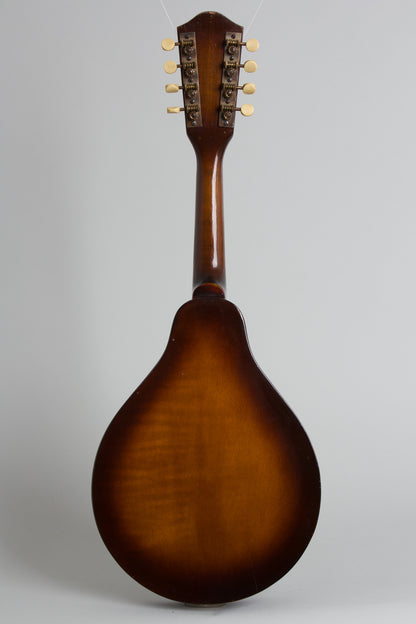 Stradolin Oval Hole Arch Top Mandolin (1936)