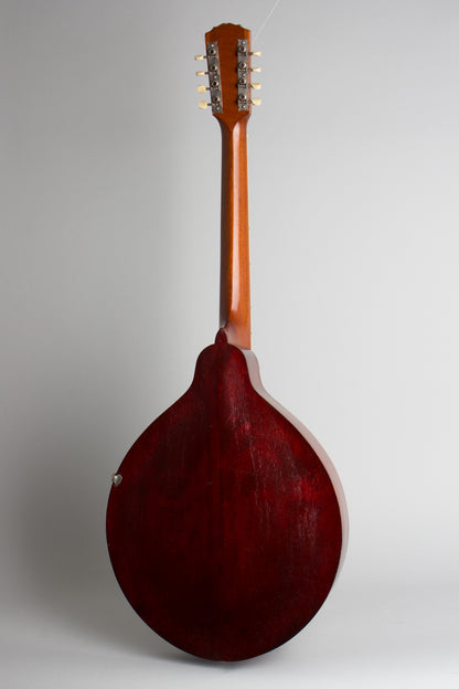 Gibson K-1 Carved Top Mandocello (1914)