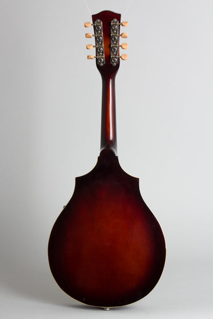 Vega D-100 Hollow Body Electric Mandolin (1950)