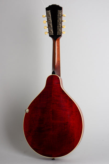 Gibson Style A-3 Carved Top Mandolin (1919)