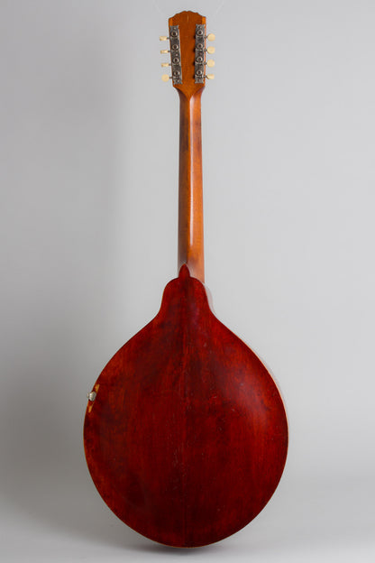 Gibson K-1 Carved Top Mandocello (1915)